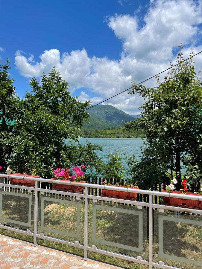 Montana Konjic